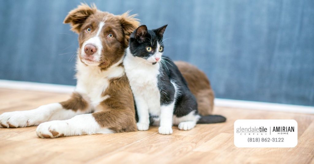 Porcelanosa Tile for Your Pets Is It Ideal?